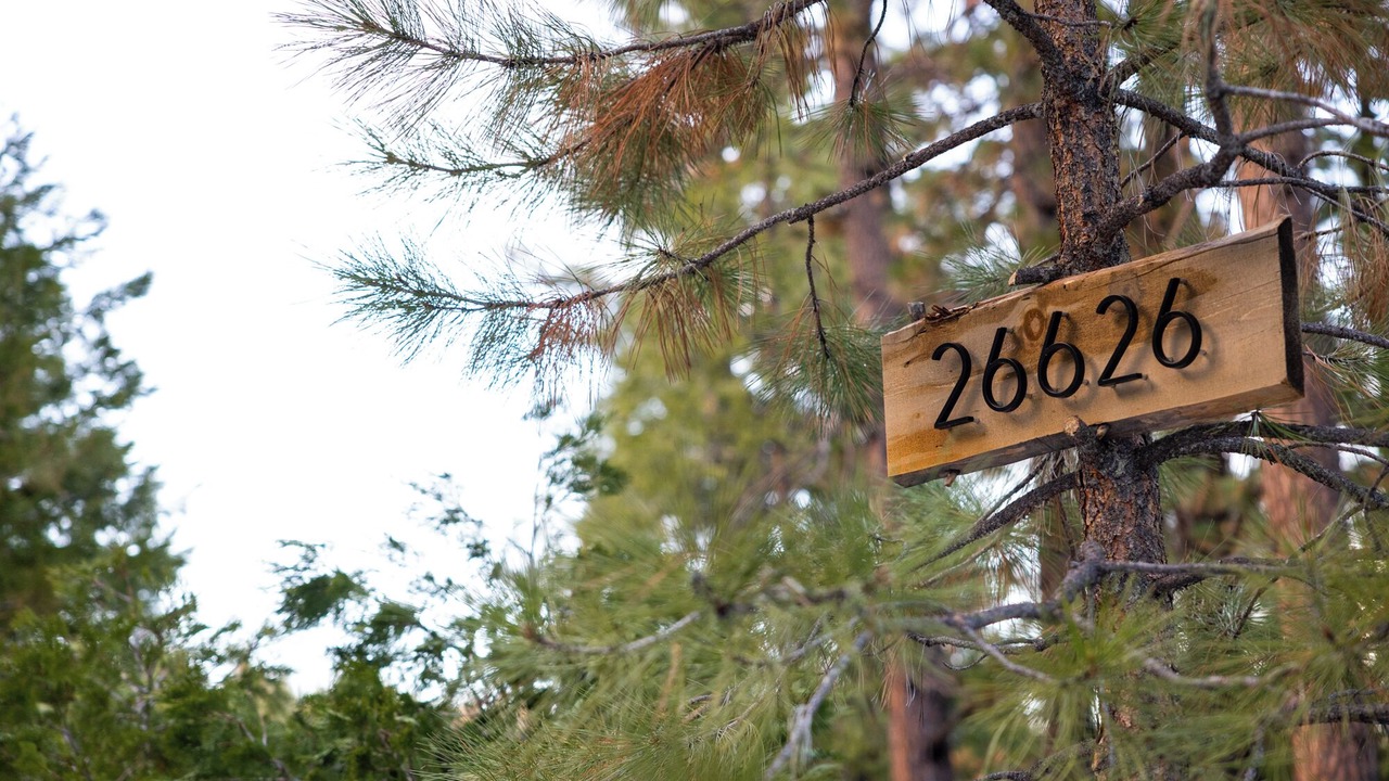 Photo of Outdoor in Cold Springs