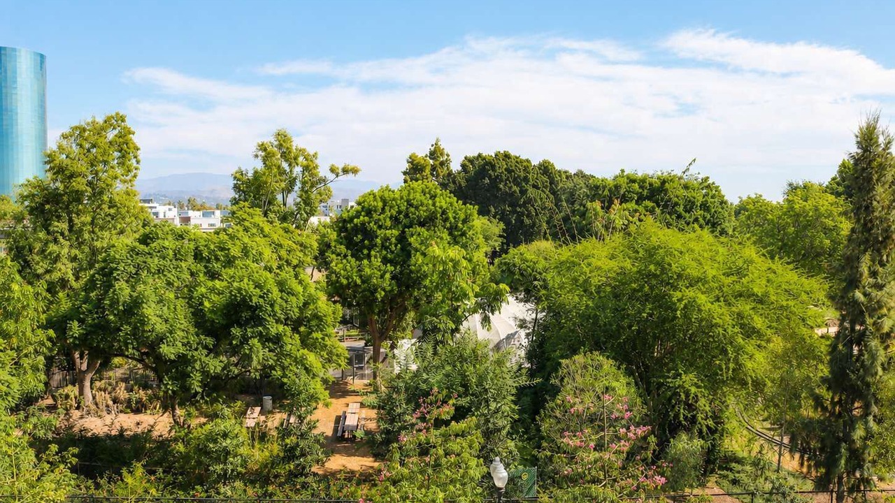 Photo of Others in Lyon Street