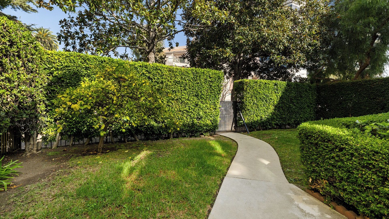 Photo of Outdoor in Sawtelle