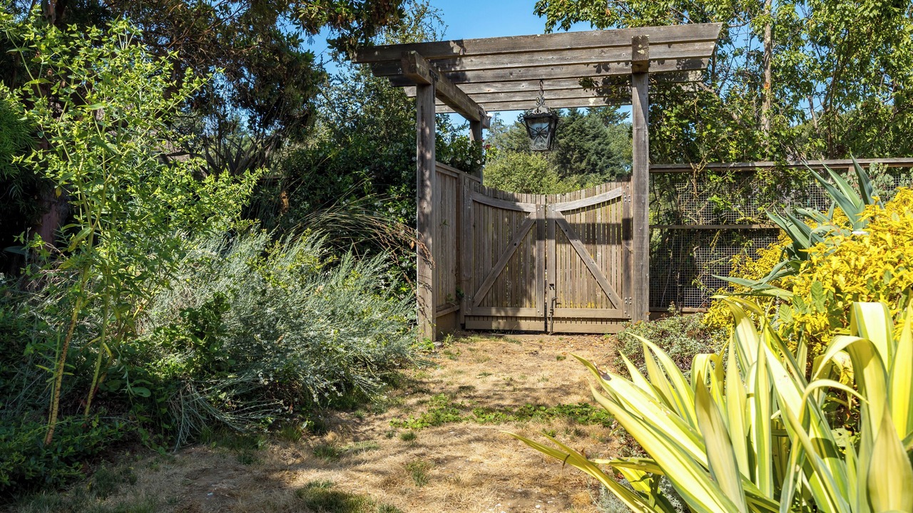 Photo of Outdoor in Soquel