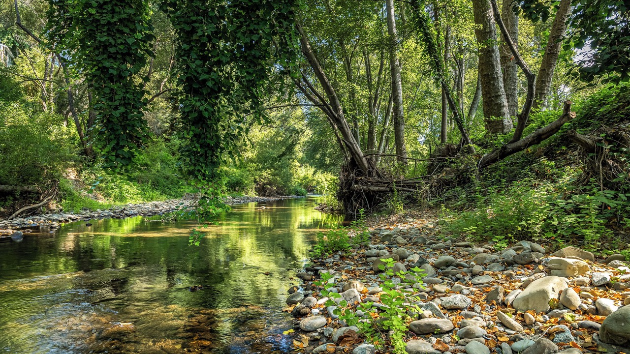 Photo of Others in Soquel