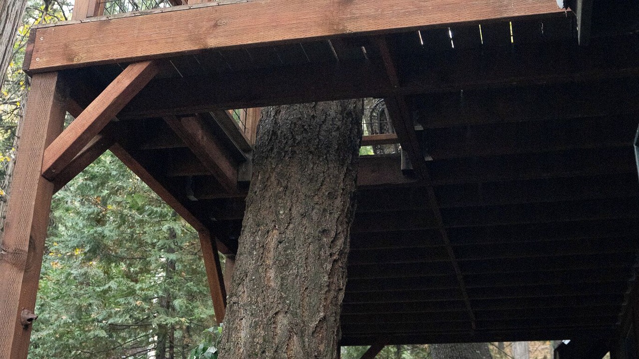 Photo of Outdoor in Phoenix Lake-Cedar Ridge
