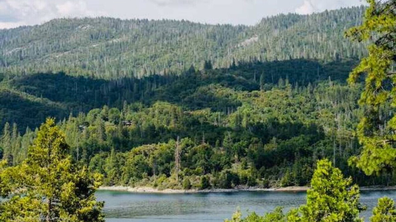 Photo of Outdoor in Wishon