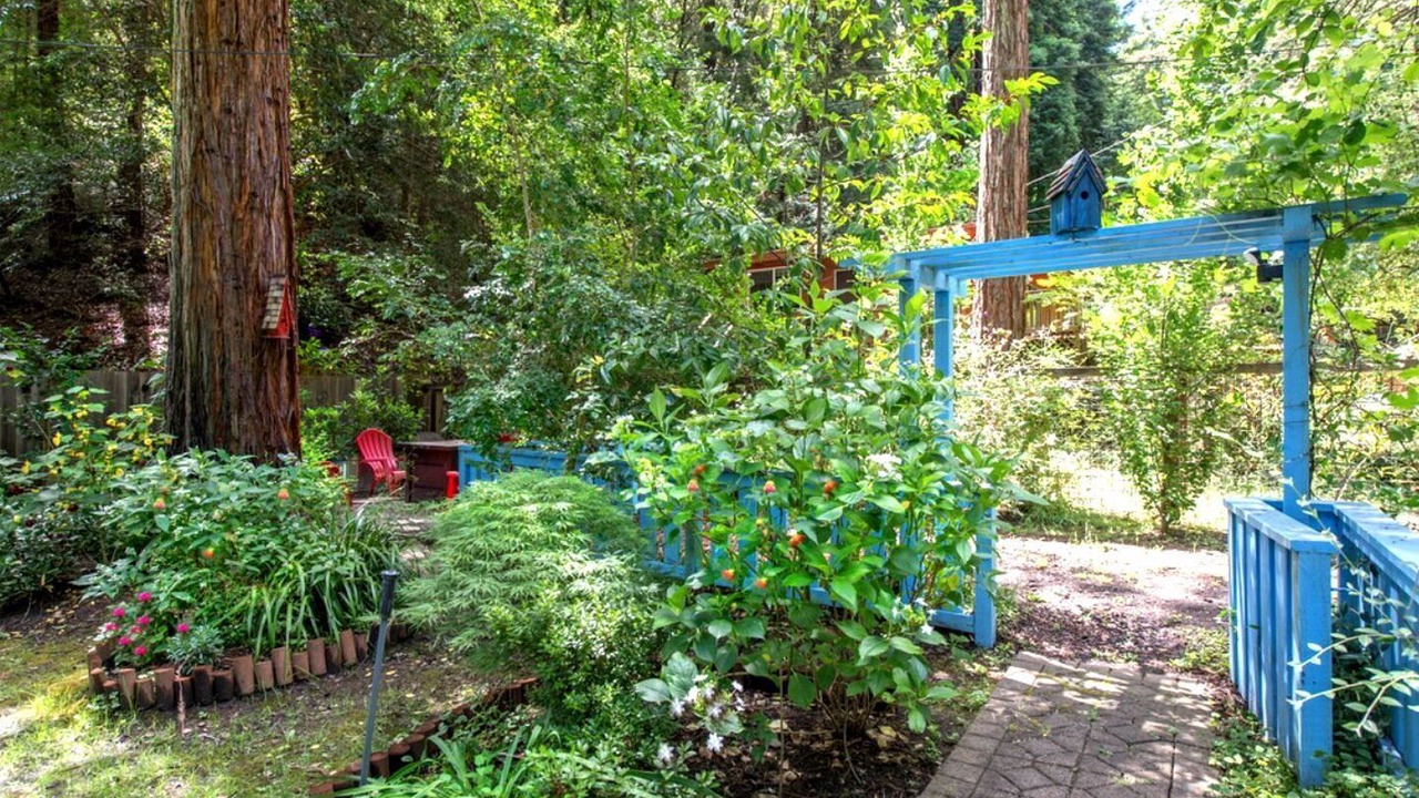 Photo of Outdoor in Cazadero