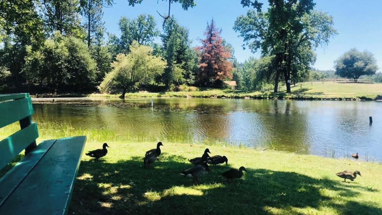 Photo of Others in Soulsbyville