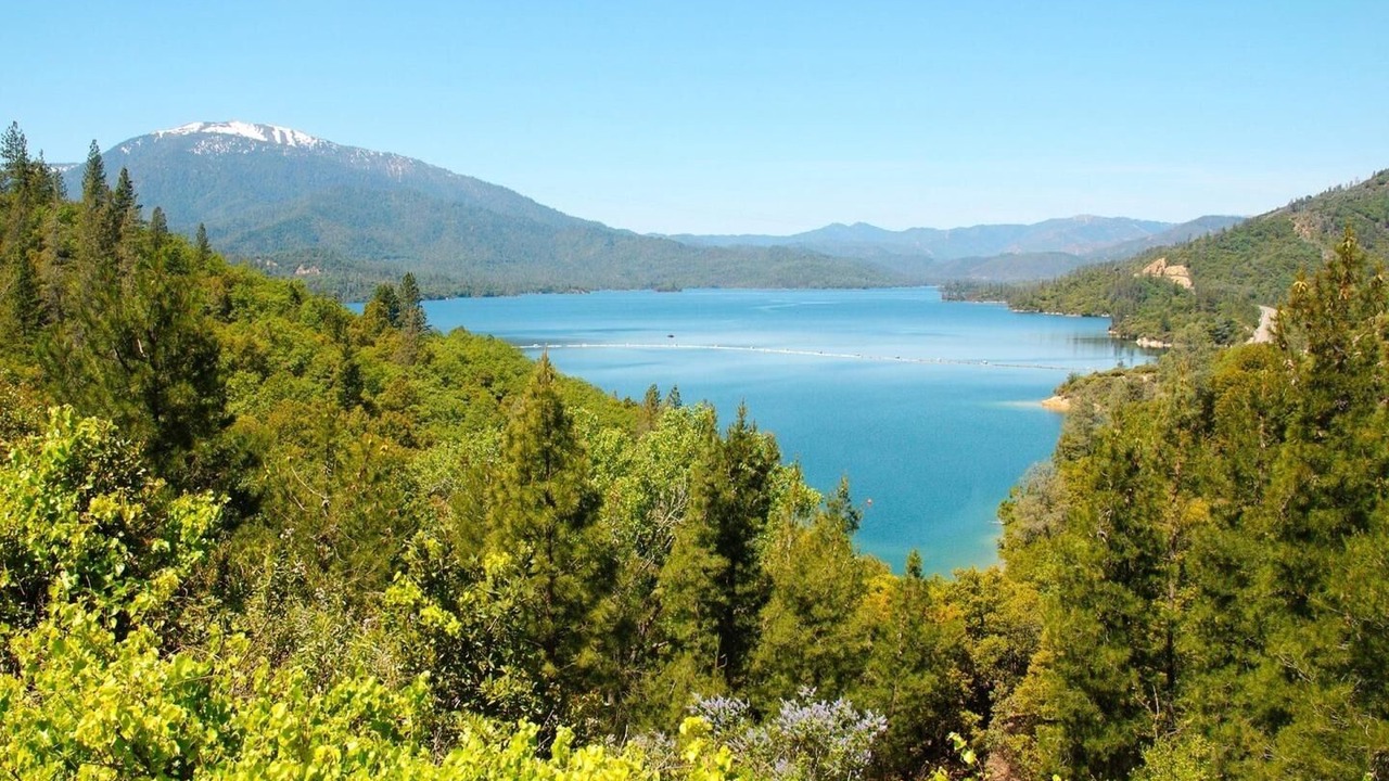Photo of Others in Redding