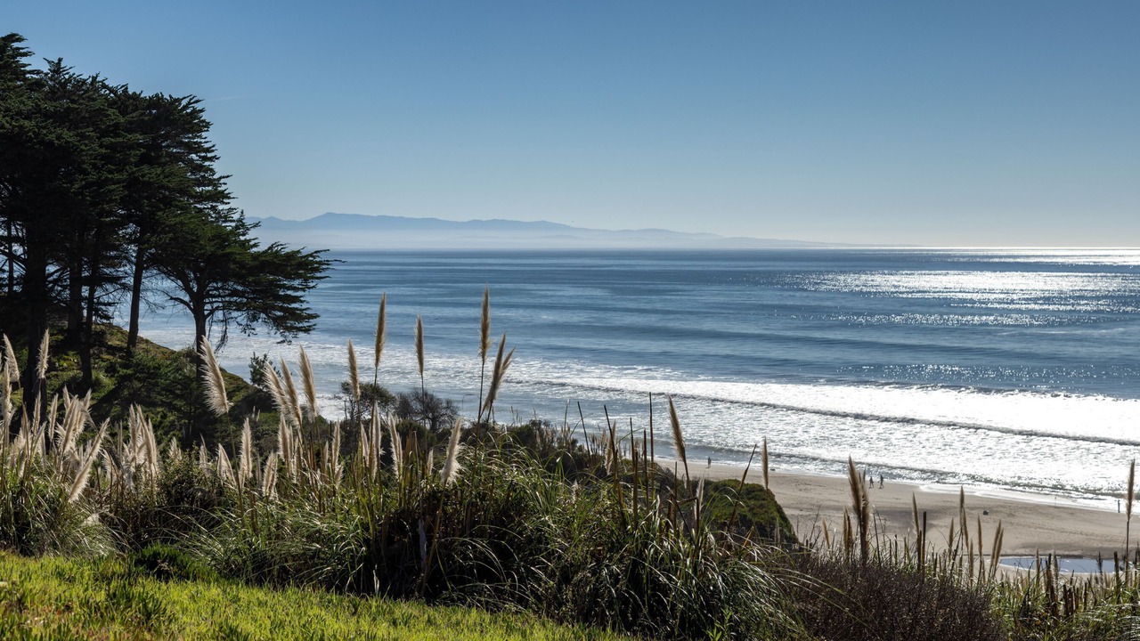 Photo of Others in Rio del Mar