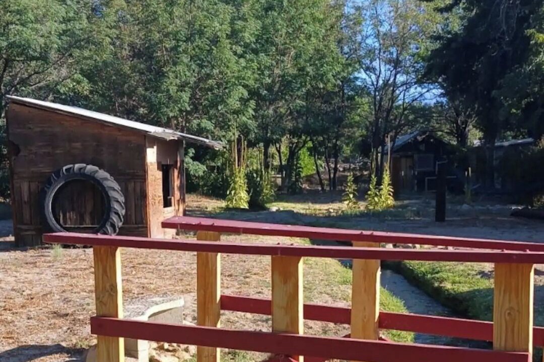 Photo of Others in Big Pine