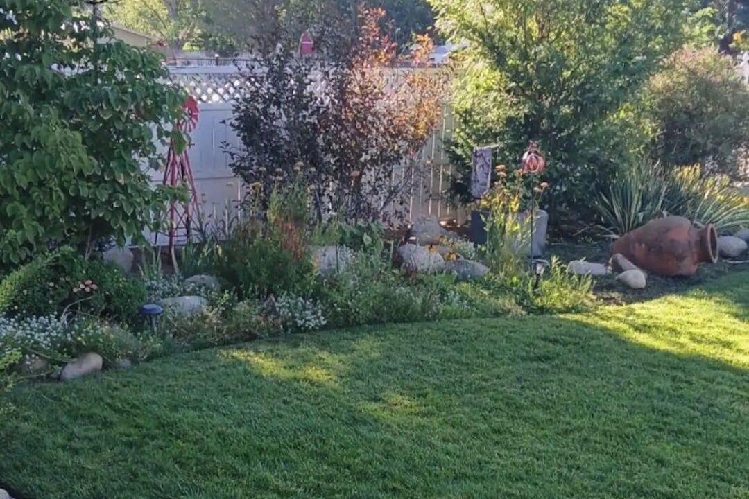 Photo of Outdoor in Big Pine