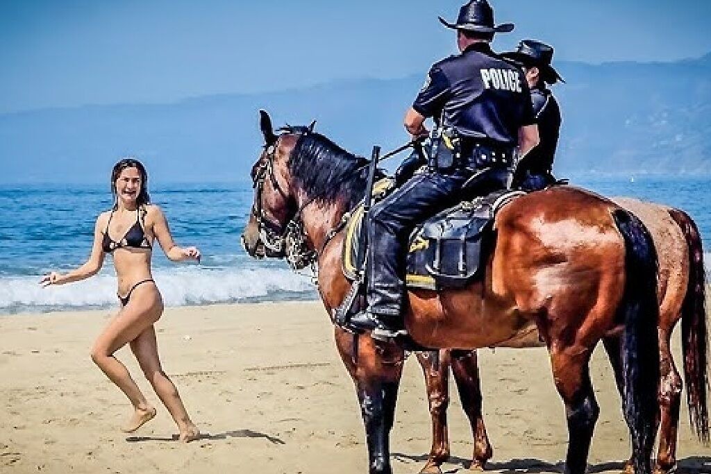 Photo of Others in Ocean Park