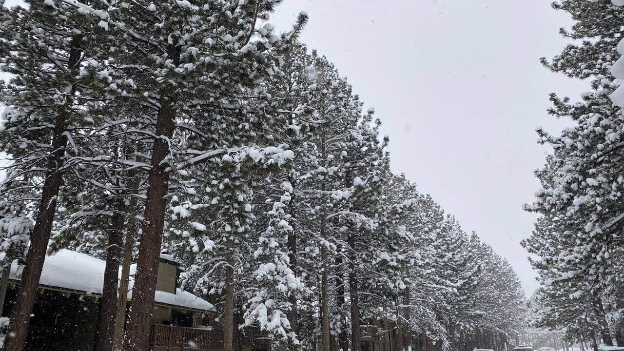 Photo of Others in Mammoth Lakes