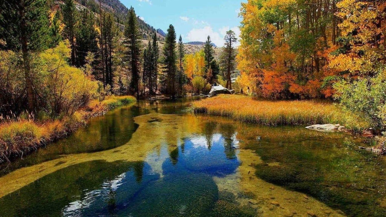Photo of Others in Mammoth Lakes