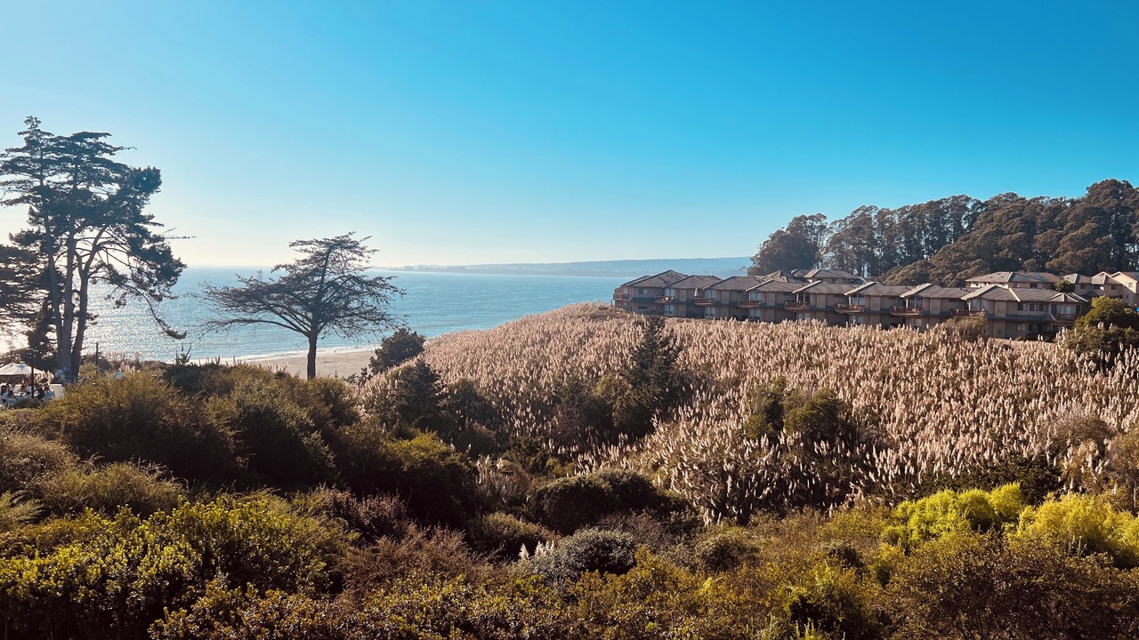 Photo of Others in Rio del Mar
