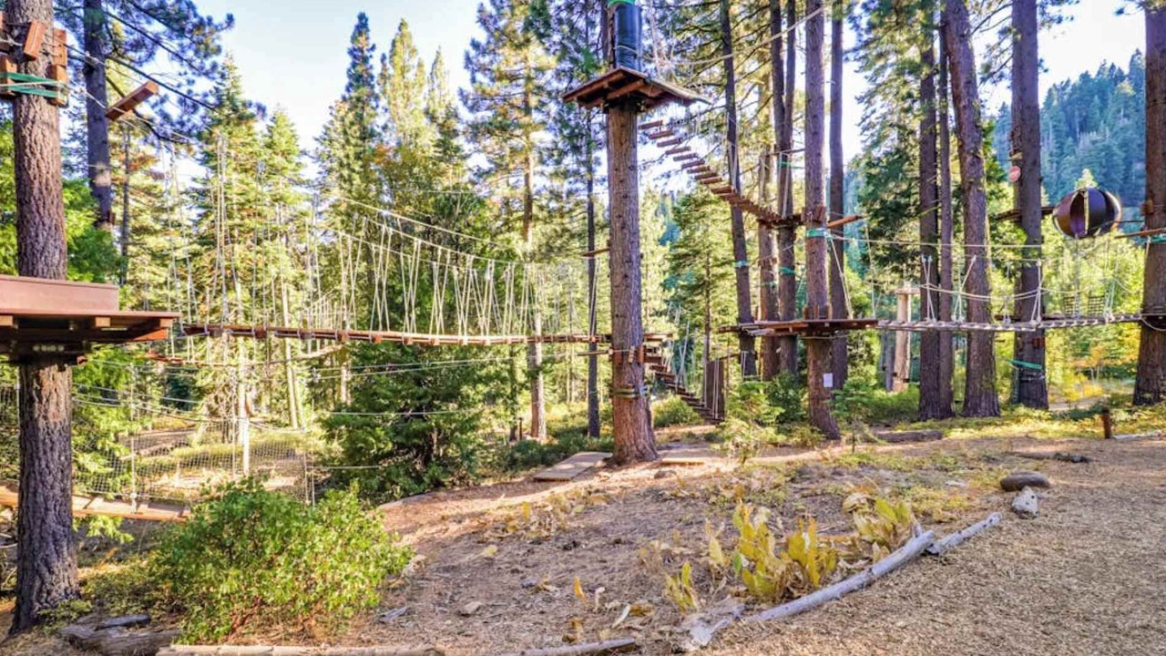 Photo of Outdoor in Tahoe Woods