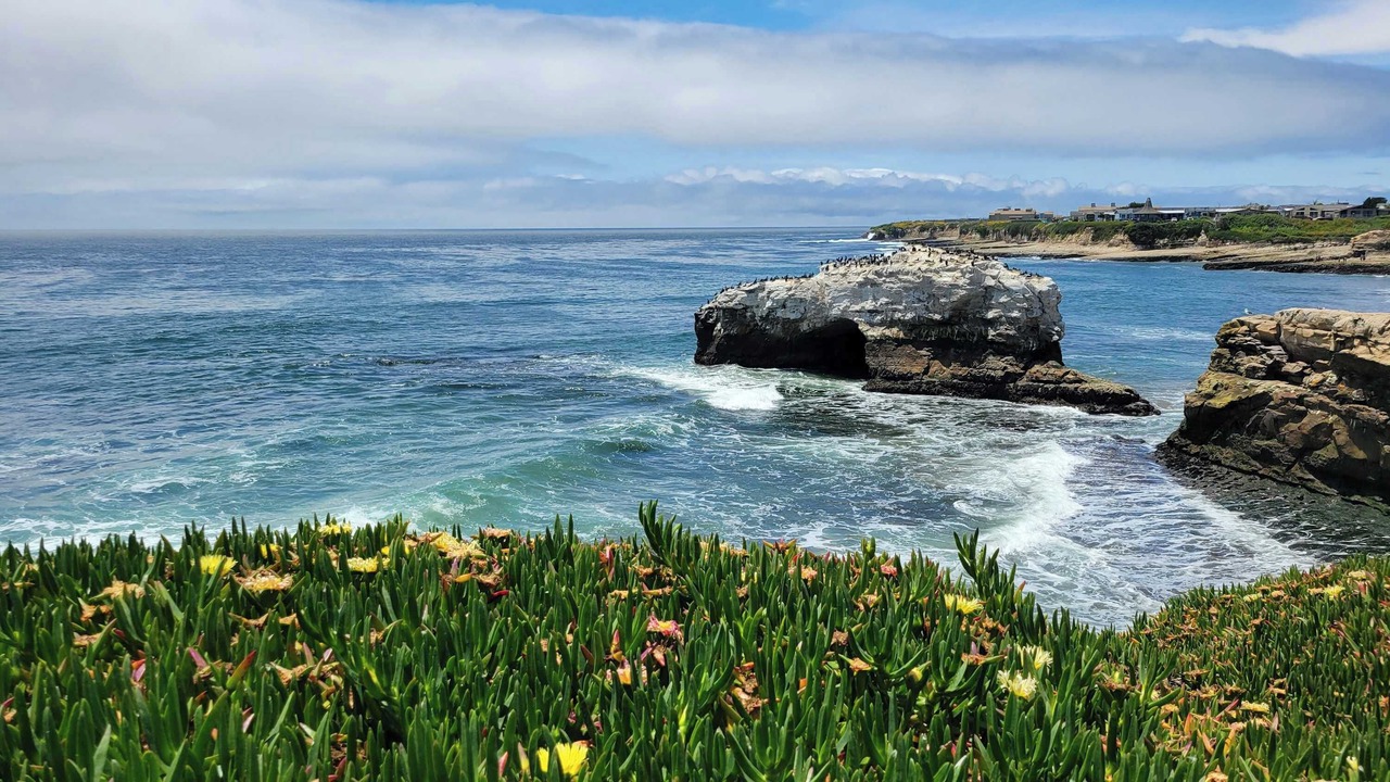 Photo of Others in Aptos
