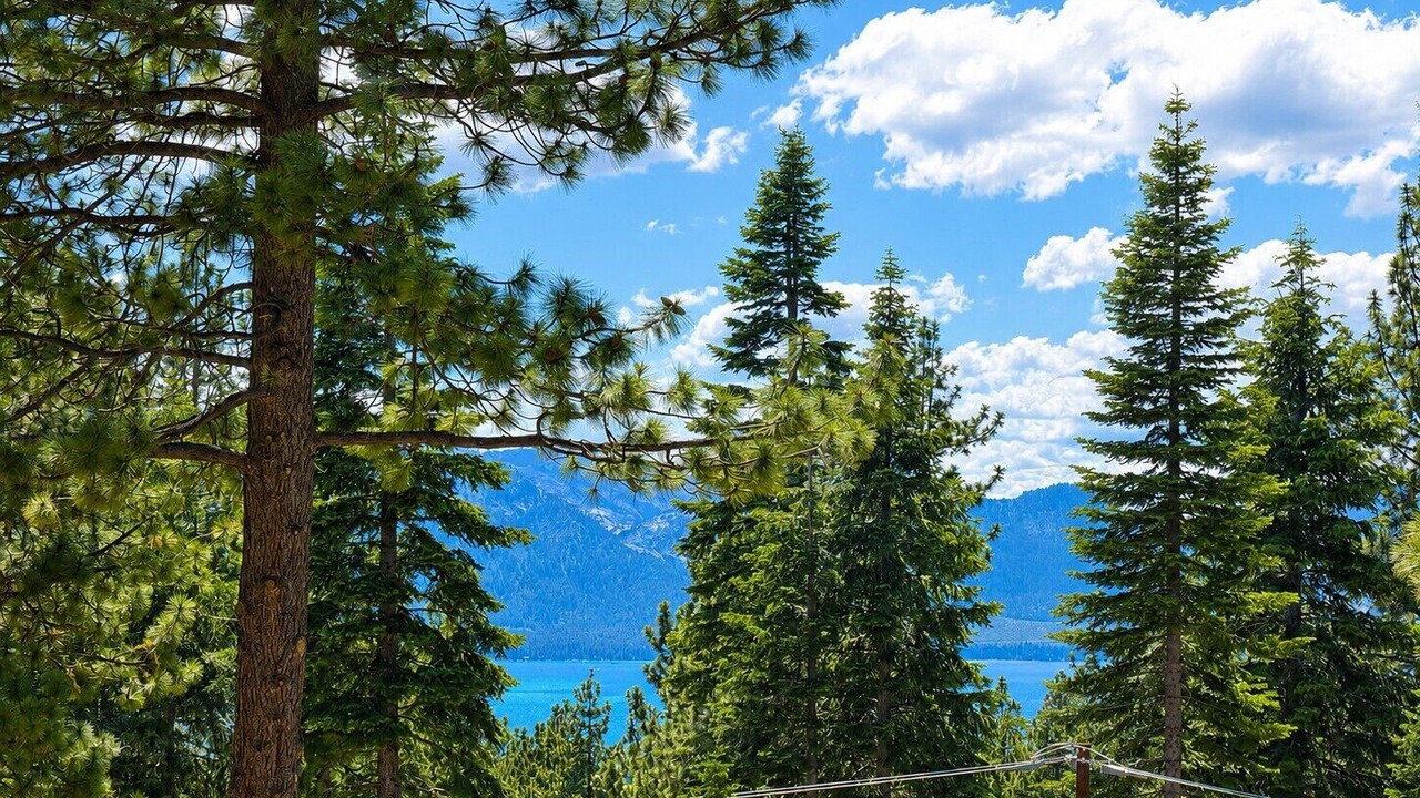 Photo of Outdoor in Tahoe Village