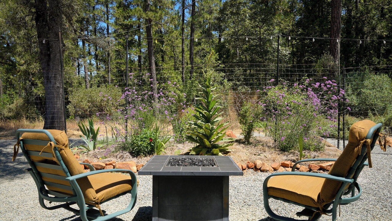 Photo of Outdoor in Grass Valley