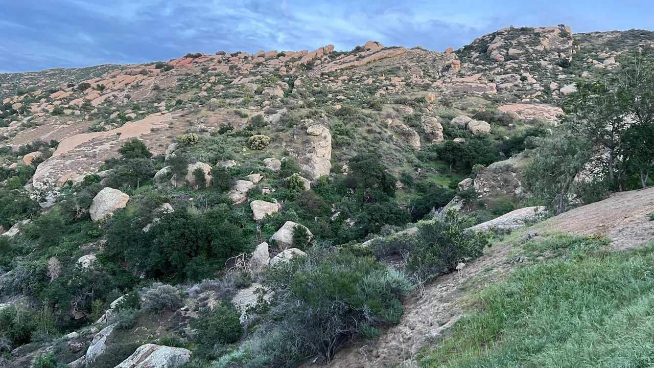 Photo of Others in Simi Valley