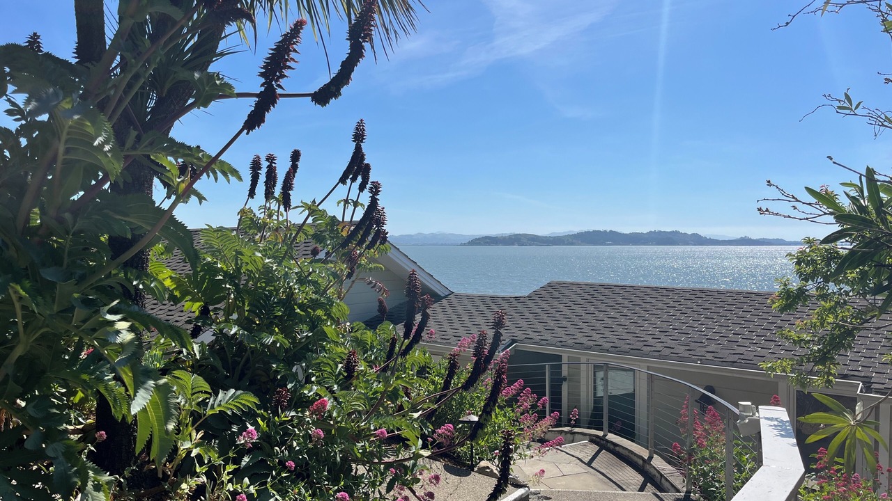 Photo of Outdoor in San Rafael