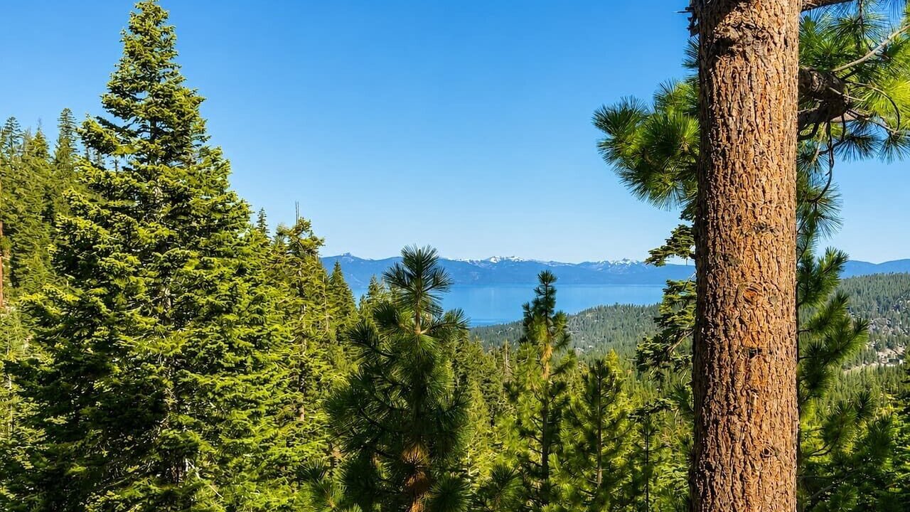 Photo of Outdoor in Tahoe Village