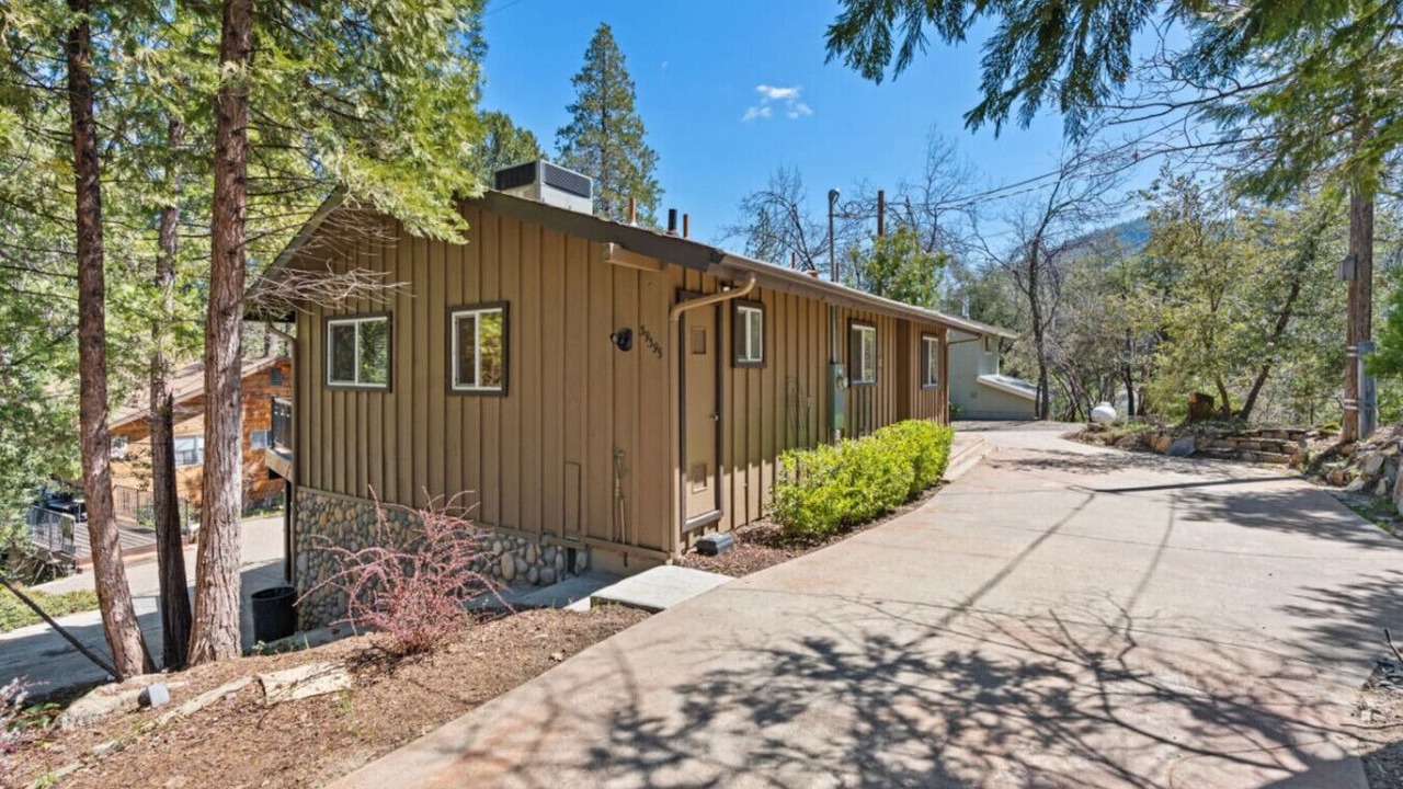 Photo of Outdoor in Bass Lake