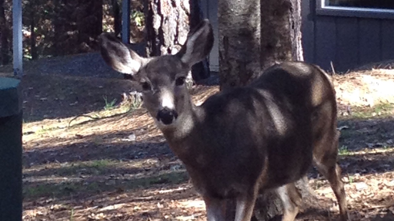 Photo of Others in Groveland