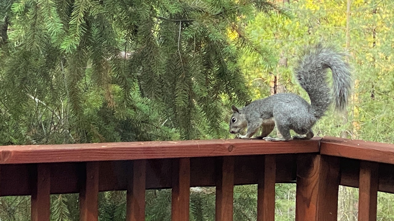 Photo of Outdoor in Groveland