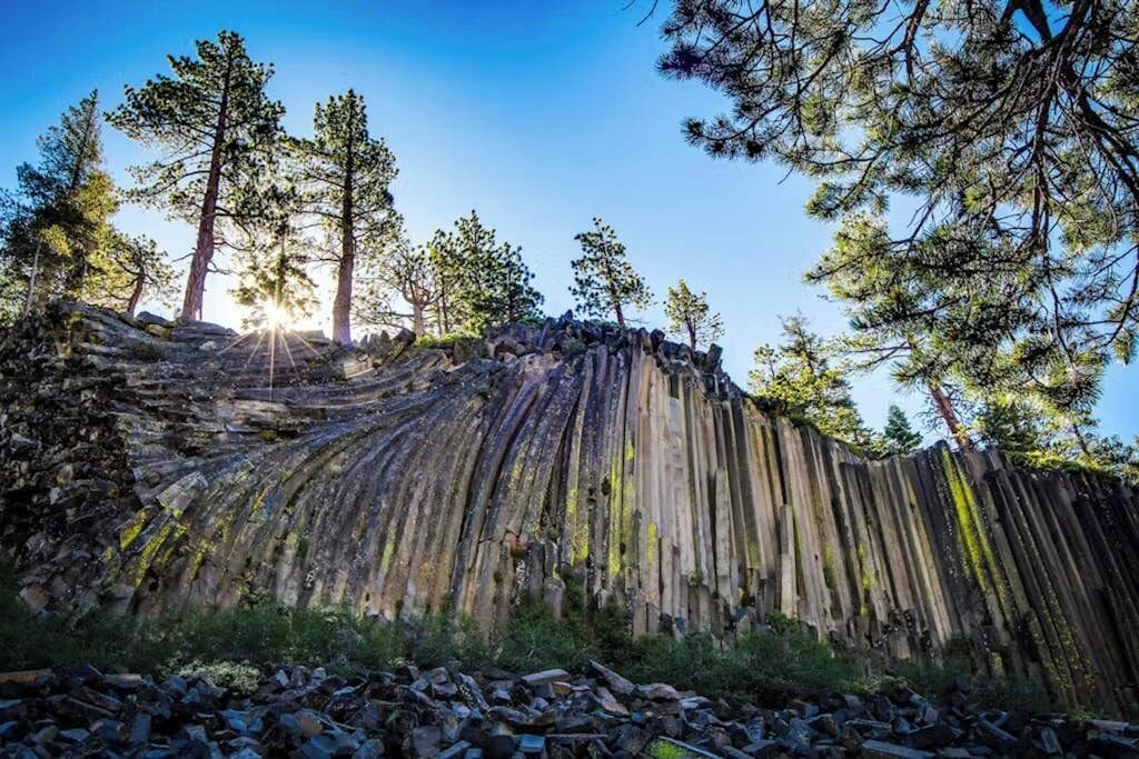 Photo of Others in Majestic Pines