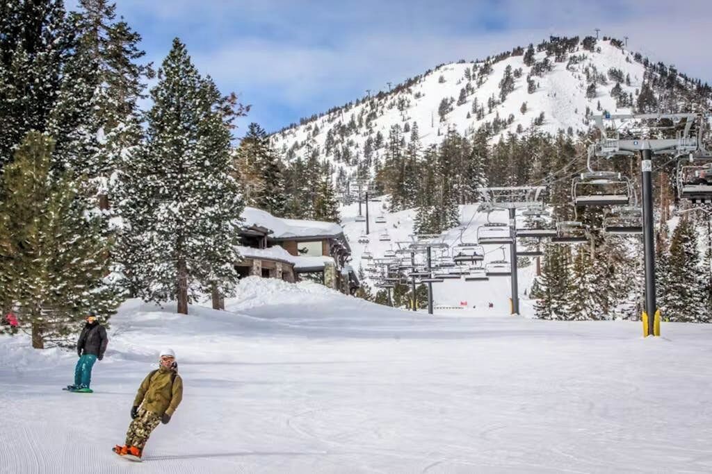 Photo of Others in Majestic Pines