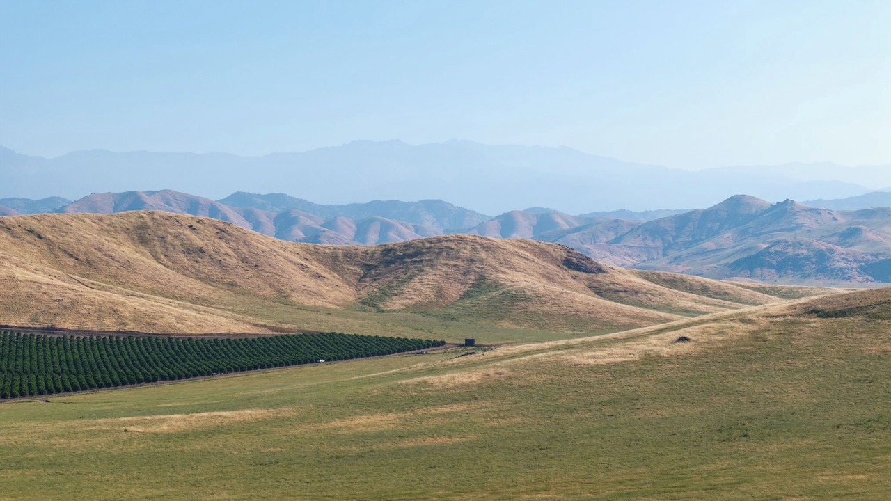 Photo of Others in Porterville