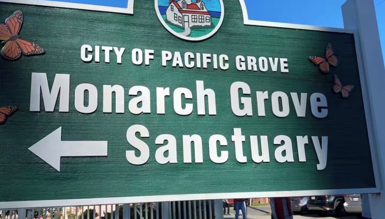 Photo of Others in Salinas