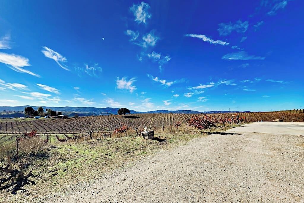 Photo of Others in Paso Robles