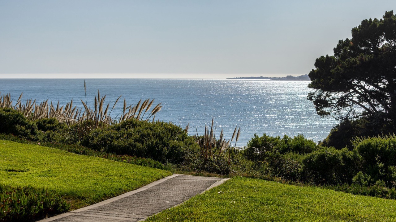 Photo of Others in Rio del Mar