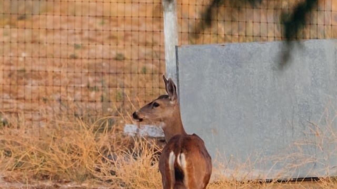 Photo of Others in Templeton