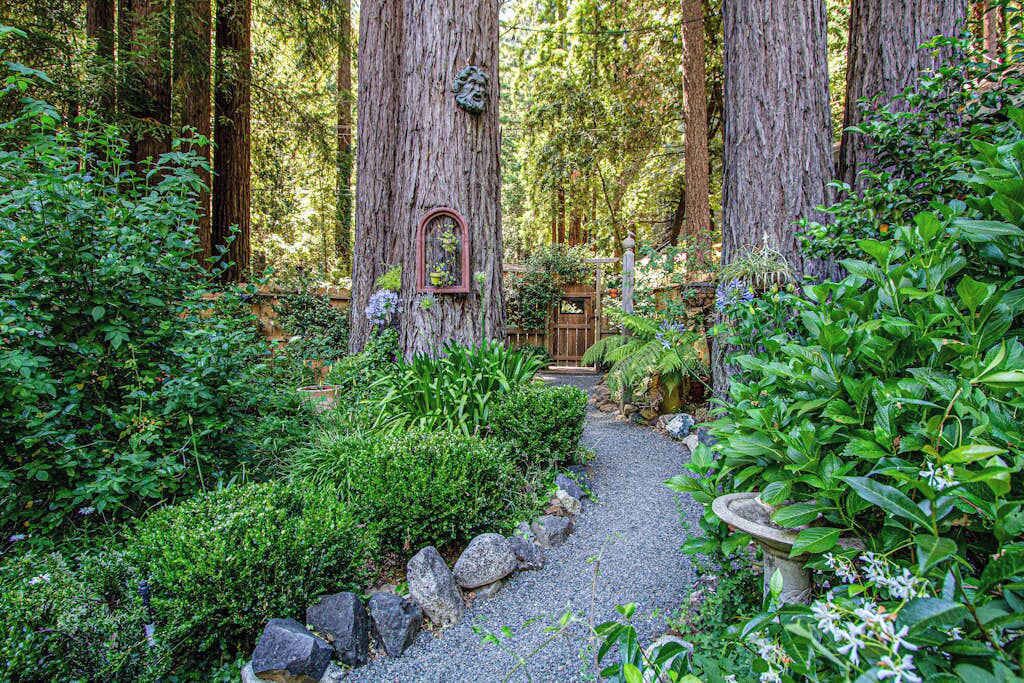 Photo of Outdoor in Cazadero