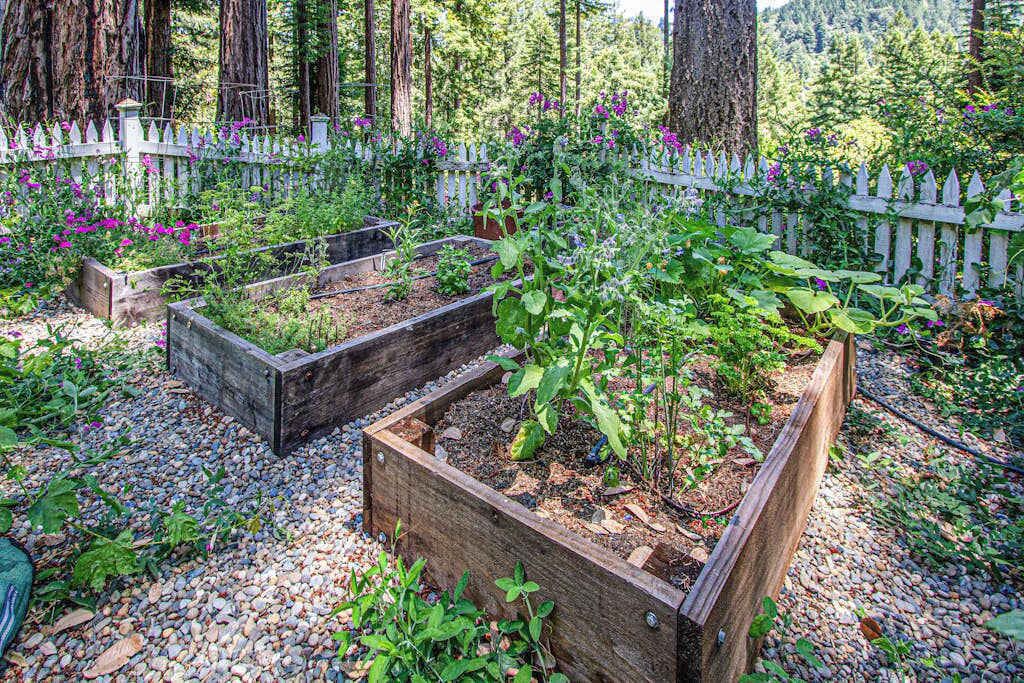 Photo of Outdoor in Cazadero