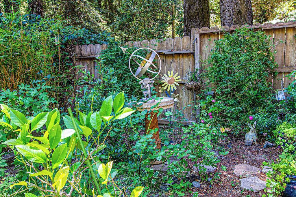 Photo of Outdoor in Cazadero