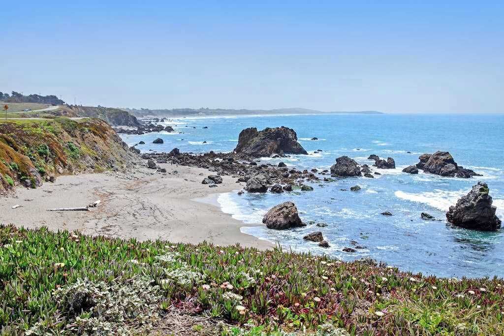 Photo of Others in Bodega Bay
