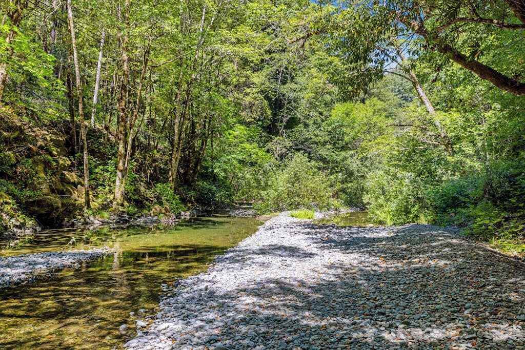 Photo of Others in Cazadero