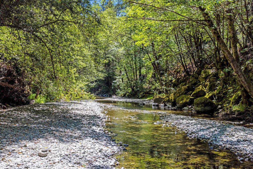 Photo of Others in Cazadero