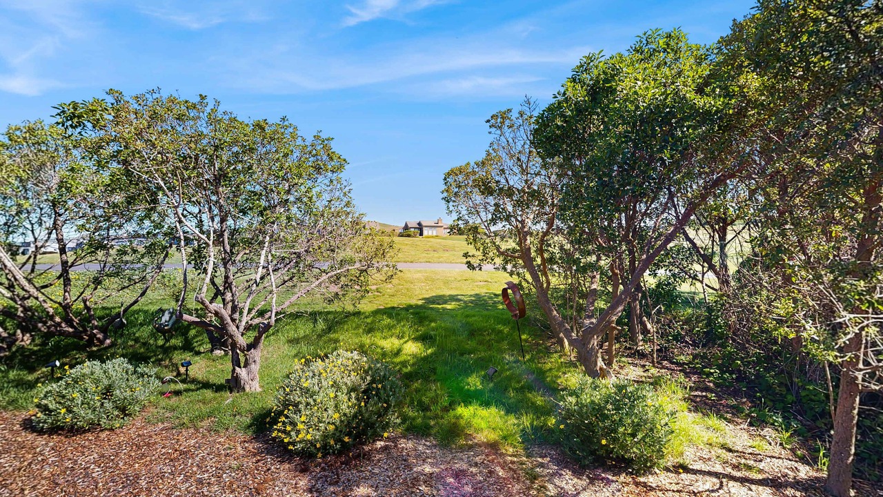 Photo of Outdoor in Bodega Bay