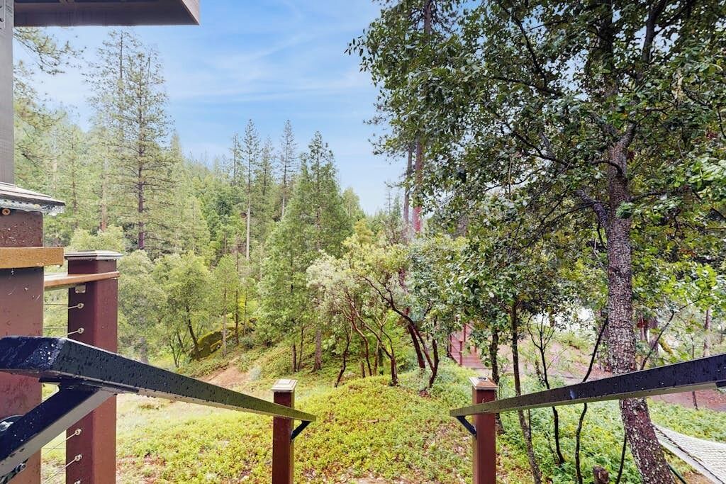 Photo of Outdoor in Bass Lake