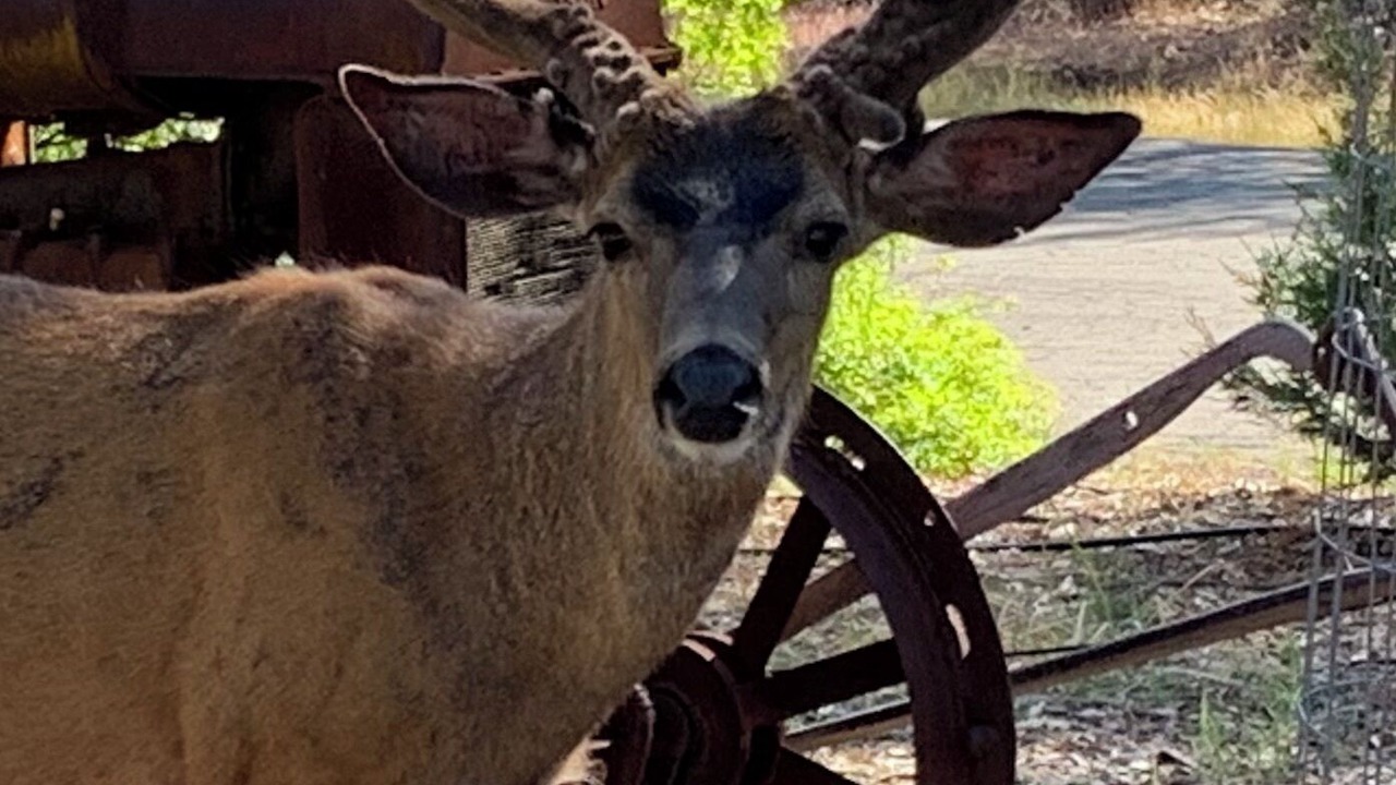 Photo of Others in Cassel