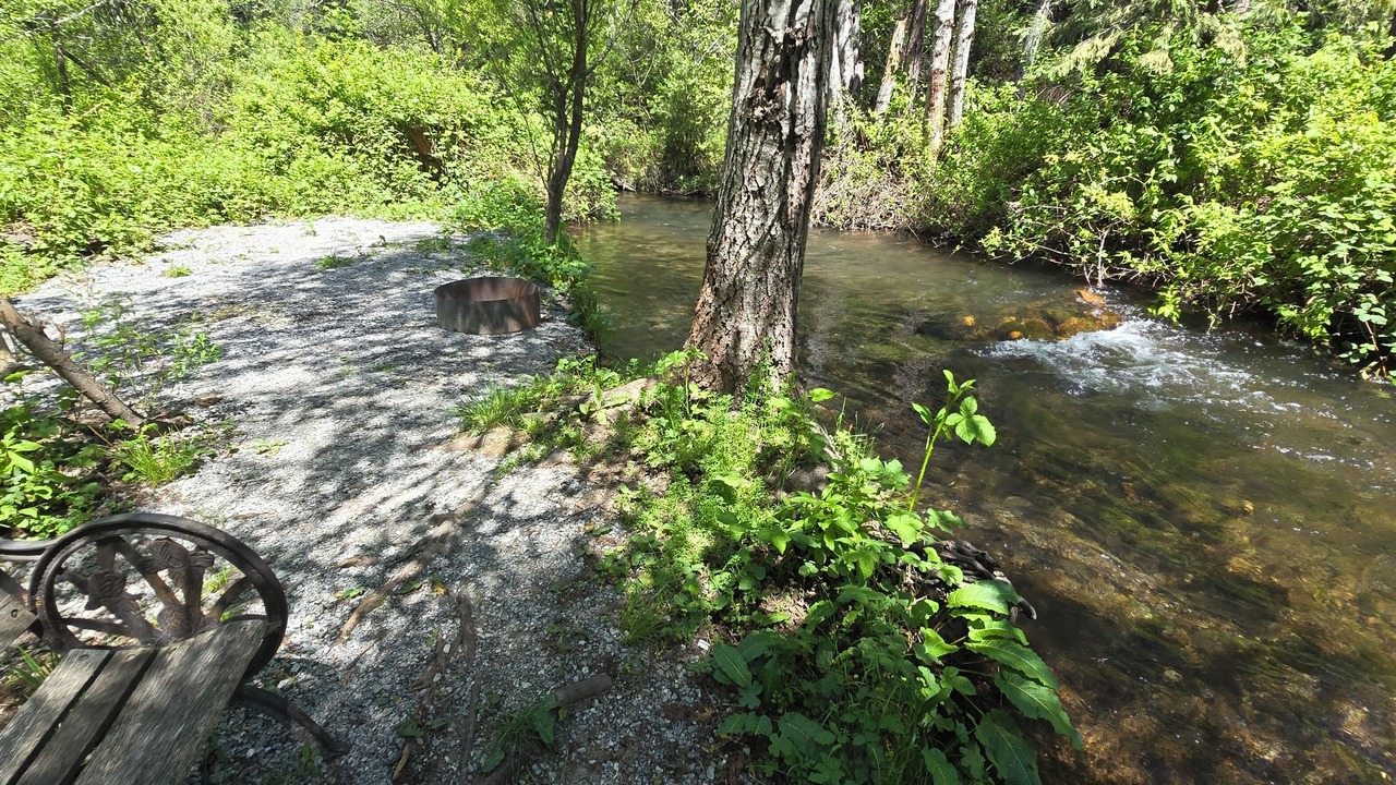 Photo of Outdoor in Shingletown