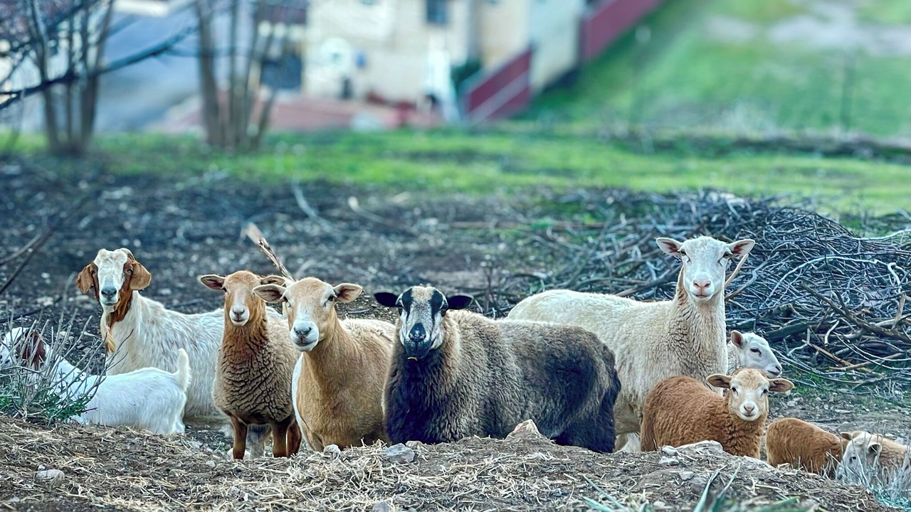 Photo of Others in Ventura County
