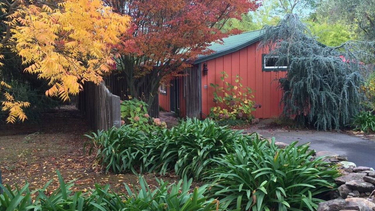 Photo of Outdoor in Sonoma