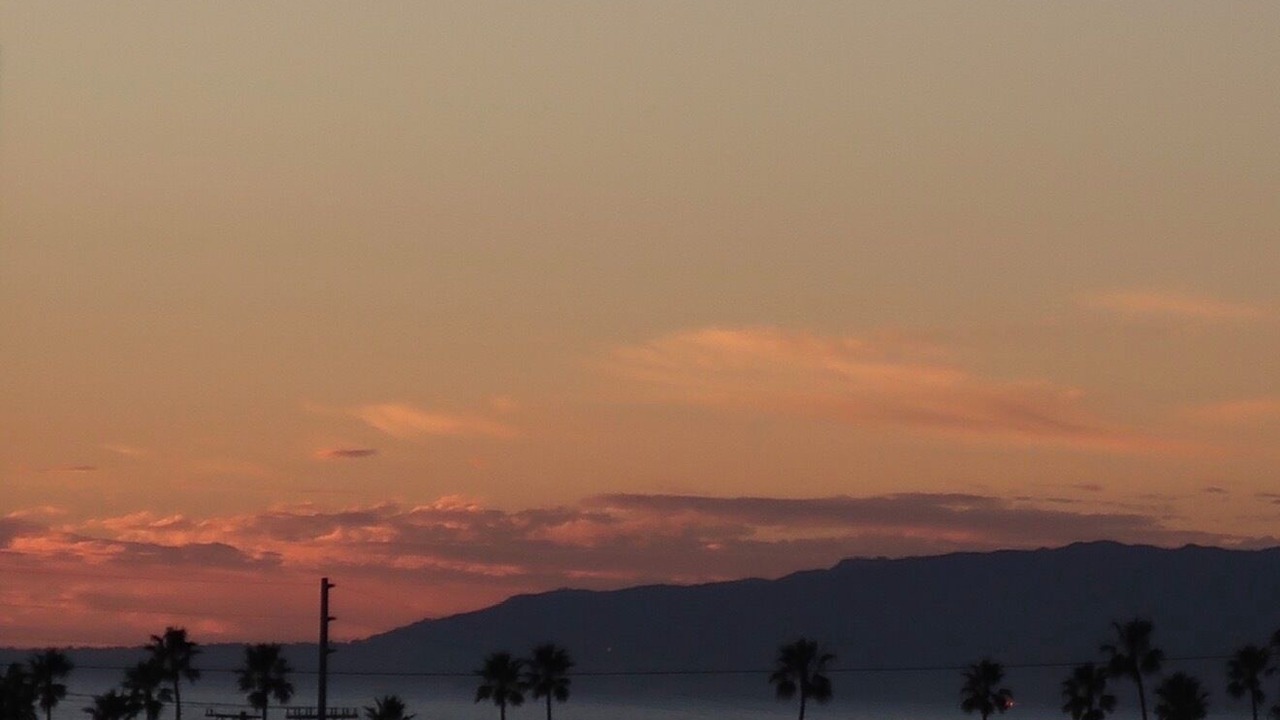 Photo of Others in Marina del Rey