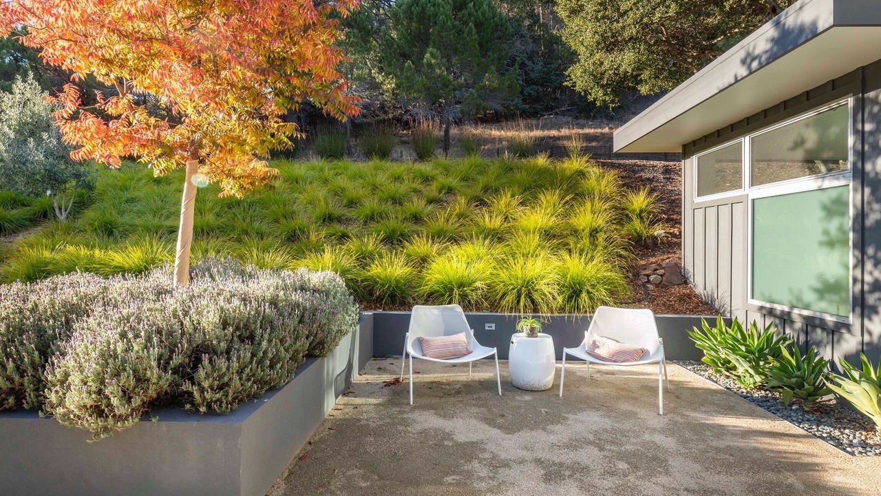 Photo of Outdoor in Bayside Acres