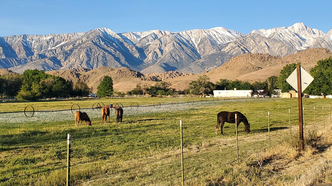 Photo of Others in Lone Pine