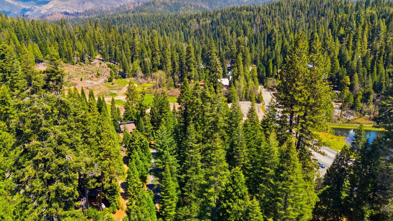 Photo of Outdoor in Fish Camp